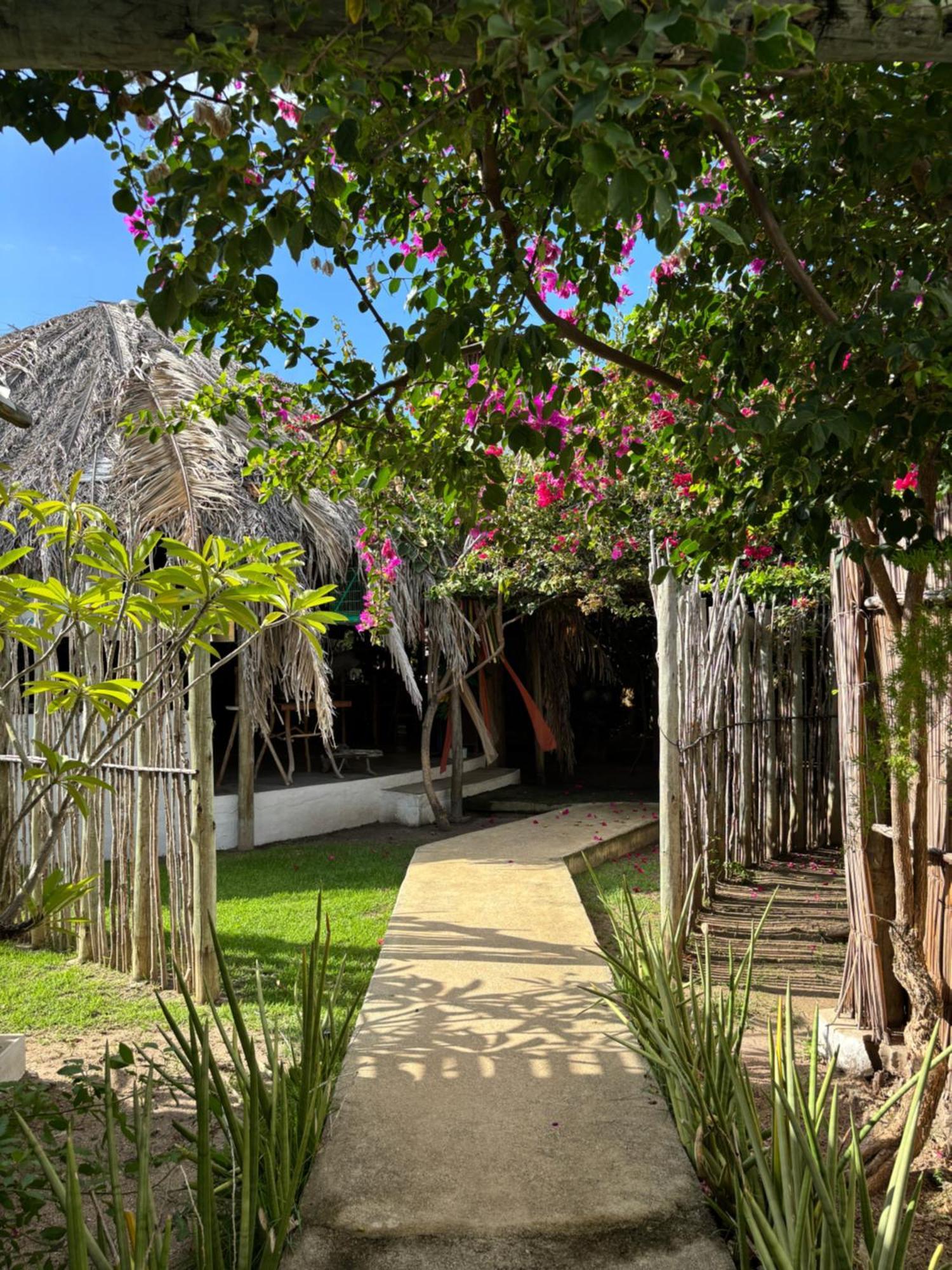 Pousada Casa Branca Pôrto de Pedras 外观 照片